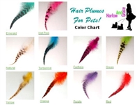 Hair Plumes