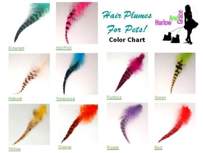 Hair Plumes