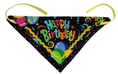 Birthday pet clothes