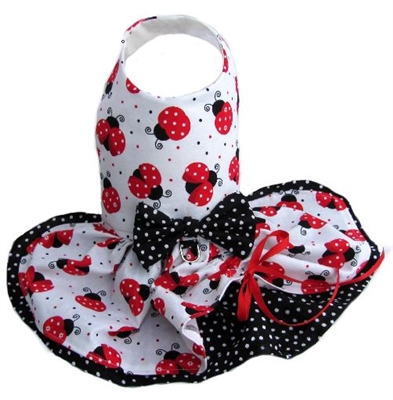 ladybug dog dress