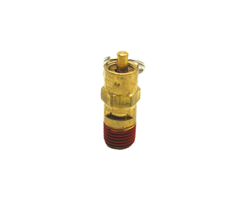 250 PSI Max Safety Valve