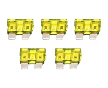 20 AMP Fuses