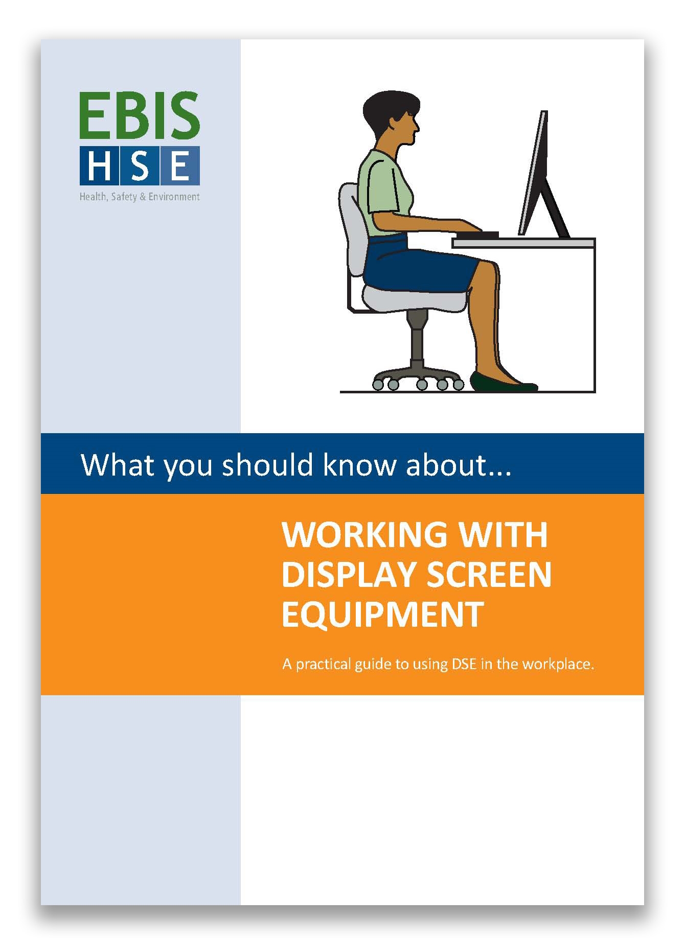 Working with Display Screen Equipment