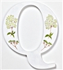 The letter 'Q' depicting the wild flower Queen Anne's Lace from our unique Wild Flower Alphabet