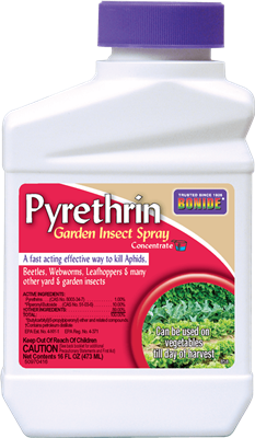 Pyrethrin Concentrate Insecticide 8oz