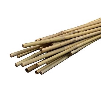 PS-BambooStakes - Bamboo Stakes 3/8" x 24" ( Qty 20 )