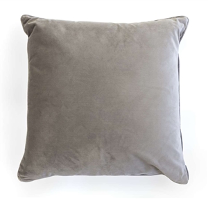 velvet cushion silver