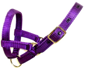 Amish Fixed Ring Llama Halters