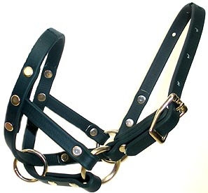 BioThane Alpaca  Halters