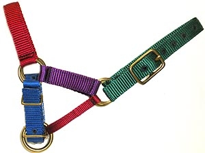 Zephyr Alpaca Halter