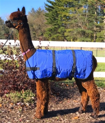 Llama or Alpaca Insulated Coat