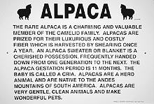 Alpaca Information Sign - Huacaya or Suri