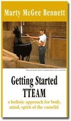 Getting Started with TTEAM by Marty McGee DVD