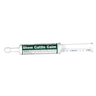 Show Cattle Calm by Sullivan