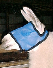 Fly Mask