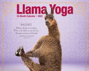 Llama Yoga Calendar - 2022 - CLEARANCE PRICE!