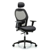 Perch Executive Mesh Chair