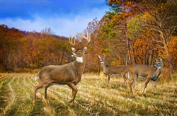 Deer in Autumn Light by Lois Stanfield