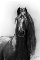 Friesian Graphite - Horse by Lois Stanfield