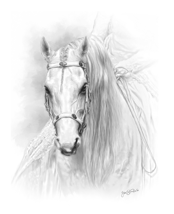 Majesty - Horse by Lois Stanfield