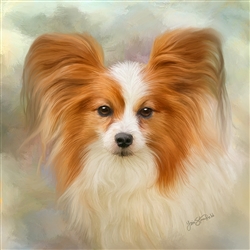 Papillon - dog by Lois Stanfield