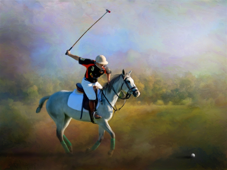 Polo Swing by Lois Stanfield