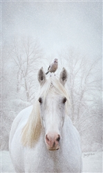 Waiting for Spring - horse by Lois Stanfield