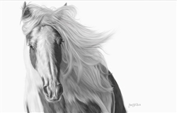 Windswept - Horse by Lois Stanfield