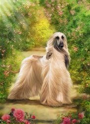 Afghan Hound by Lois Stanfield