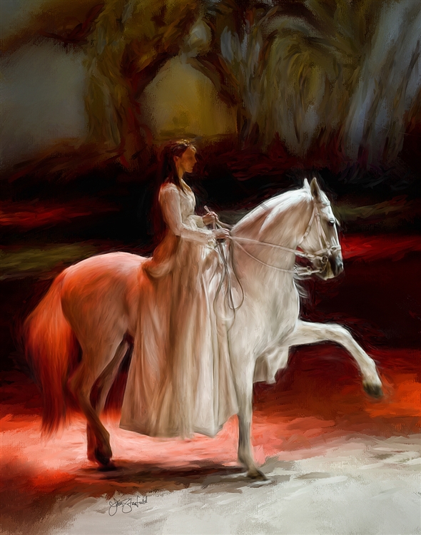 Andalusian Ballet - horse and rider by Lois Stanfield