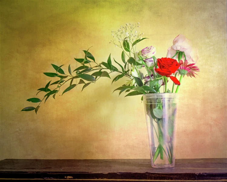 Lisettes- Flowers by Hal Halli