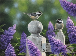 On the Fence - Chickadee's by Abraham Hunter