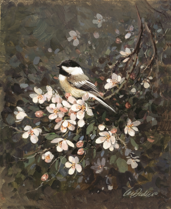 Chickadee & Blossoms