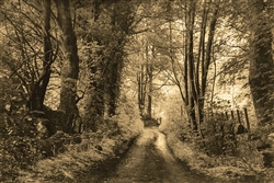 Down the Road by Hal Halli