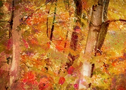 Klimt's Forest by Hal Halli