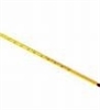 Laboratory Thermometer