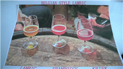 Belgian Style Lambic Beer Kit