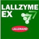 lallezyme 8g bulk