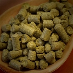 Centennial Hop Pellets 1 oz