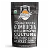 Organic Kombucha SCOBY Starter Kit