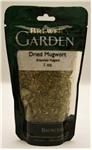 Dried Mugwort