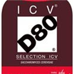 D 80 Yeast