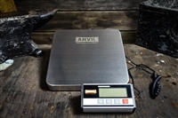 High Capacity Digital Grain Scale