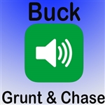 Buck Grunt Chase MP3 Audio/Sound (FREE)