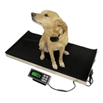 Large Platform Laundry Scale - 700 lb