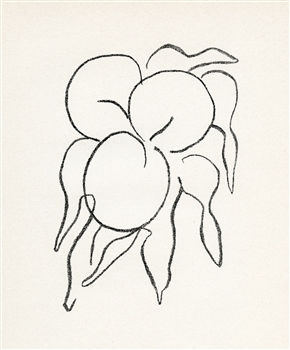 Henri Matisse original lithograph "Fruits"