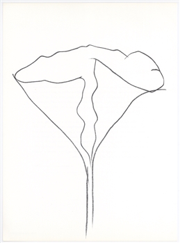 Ellsworth Kelly original lithograph, derriere le miroir, 1982, maeght