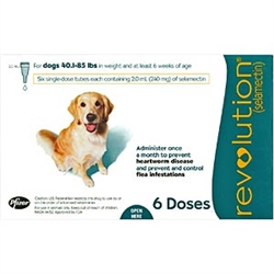 Revolution For Dogs 40-85 lbs, 6 Doses