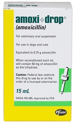 Amoxicillin-Antibiotic For Pets - Amoxi-Drops (Amoxicillin) 15 ml
