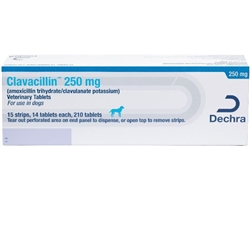 Clavacillin (Amoxicillin Trihydrate/Clavulanate Potassium)  250mg Tablet (Each)